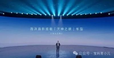 电动汽车购车指南:比亚迪海鸥的市场定位_比亚迪海鸥什么时候上市_比亚迪海豚定位