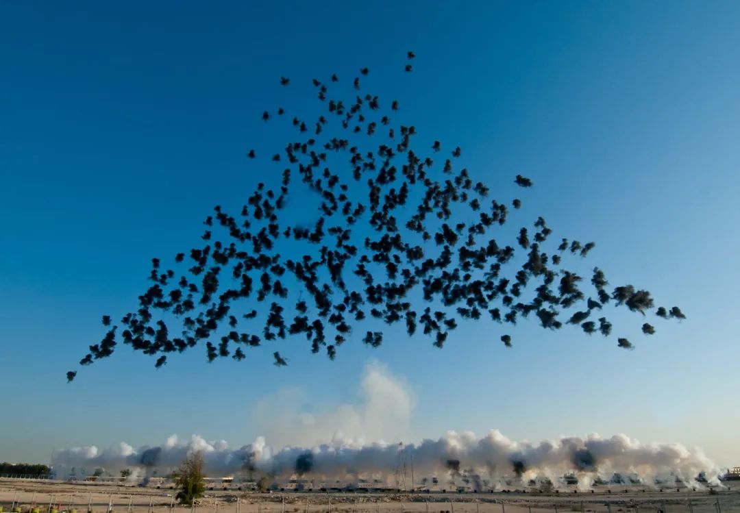 无人共鸣会增加孤独感_无人机表演的情感表达与观众共鸣_演唱共鸣